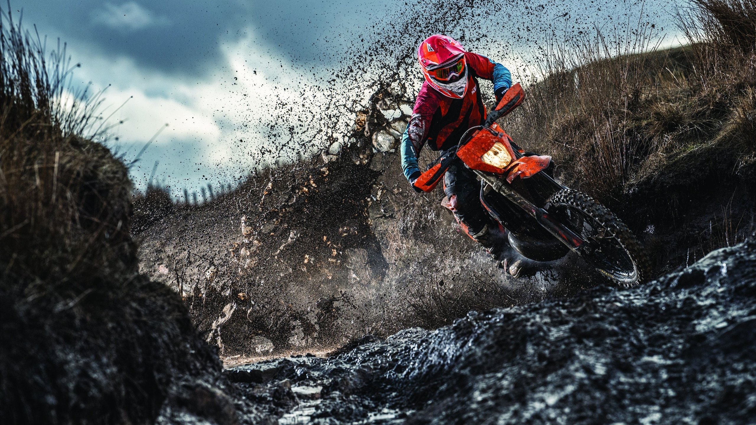 亚洲女篮世界杯预选赛中，中国队、韩国队激烈对抗，争夺唯一直通名额