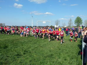 体育新闻中心参与制定青少年体育内容发布规范，青少年体育刊物