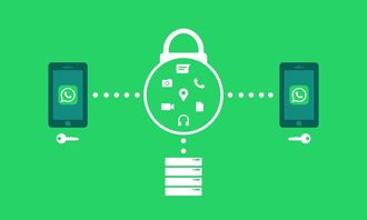 体育新闻采编流程中的内容安全机制构建，体育新闻报道要求