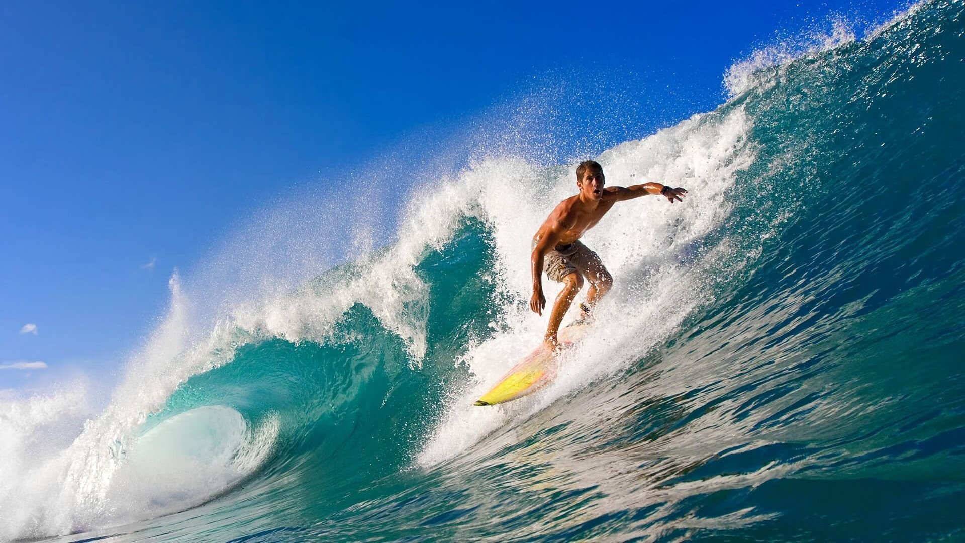 体育新闻采编流程中的内容安全机制构建，体育新闻报道要求