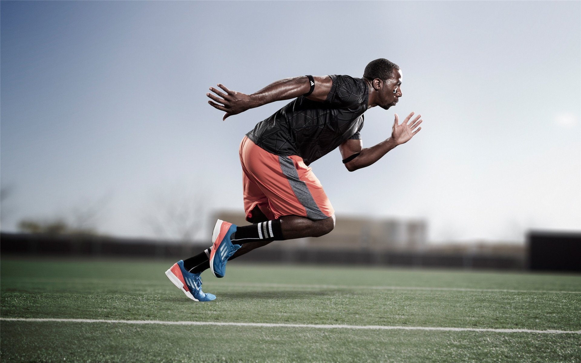 体育新闻中心联合高校研究体育内容用户行为，学校体育研究热点